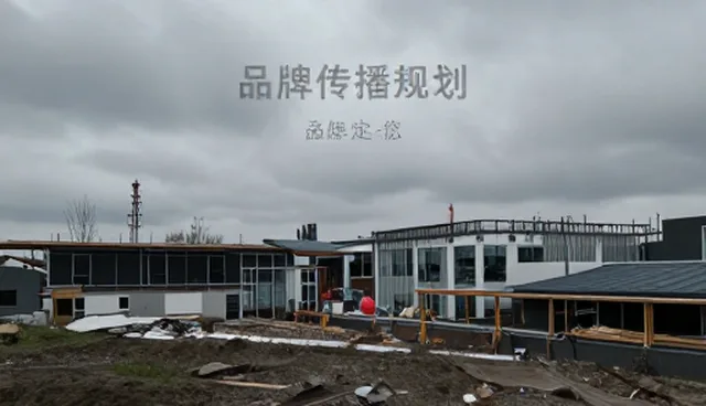 专业团队在渠道优化中的关键作用分析